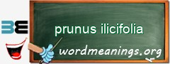 WordMeaning blackboard for prunus ilicifolia